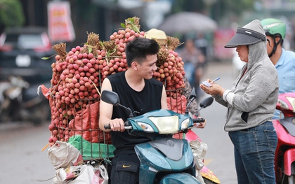 Bắc Giang: Người dân phấn khởi vì giá vải thiều cao chưa từng có, gần 100.000 đồng/kg