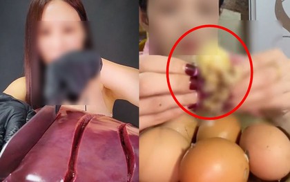 Những màn mukbang khiến người xem phát "ớn": Nhai rùa nguyên con, ăn cả gà con sắp nở