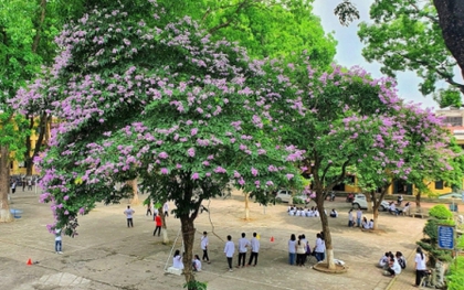 Ngôi trường làng ở Hà Nội: Điểm chuẩn hàng năm thấp nhưng thành tích thi tốt nghiệp 2024 cao, đứng sau mỗi trường Ams ở môn này!