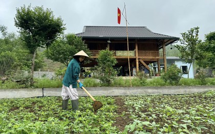 Vợ chồng "chốt" mua 1500m2 đất rừng qua ảnh vệ tinh, thành quả hiện tại khiến bao người ngưỡng mộ