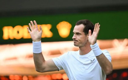 Andy Murray tuyên bố giải nghệ sau Thế vận hội Paris 2024