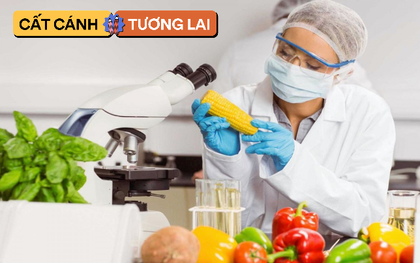 1 ngành học "khát" ít nhất 10.800 nhân lực/năm nhưng nhiều người trẻ không biết tới: Cơ hội siêu rộng mở, thu nhập tới 65 triệu đồng/tháng mà điểm đầu vào khá "dễ thở"