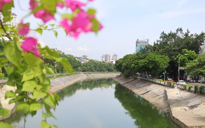 Nước chuyển màu xanh như nước Hồ Gươm, sông Tô Lịch bỗng 'nên thơ, trữ tình'