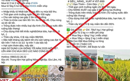 Mua lúa giống trên mạng, hàng ngàn người bị lừa đảo số tiền 7,8 tỷ đồng