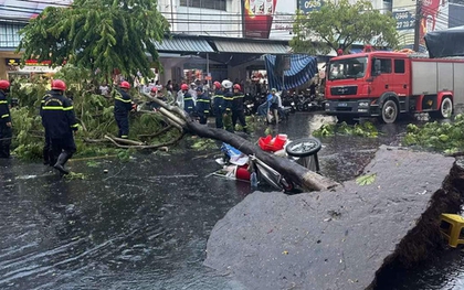 Đà Nẵng: Cây lớn bật gốc trong mưa dông, 1 phụ nữ bị thương