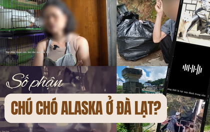 Diễn tiến mới vụ chú chó Alaska bị đánh đập ở Đà Lạt: Nhóm cứu hộ chi 75 triệu đồng để chuộc nhưng thất bại, tiết lộ các bé từng bị "dạy" bằng roi điện