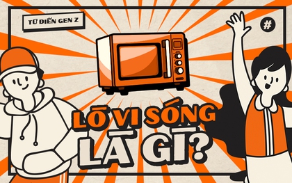 Từ điển Gen Z: "Lò vi sóng" trong tình yêu có nghĩa là gì?