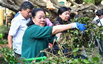 Bí thư Hà Nội cùng người dân dọn cây đổ, vệ sinh môi trường sau bão Yagi