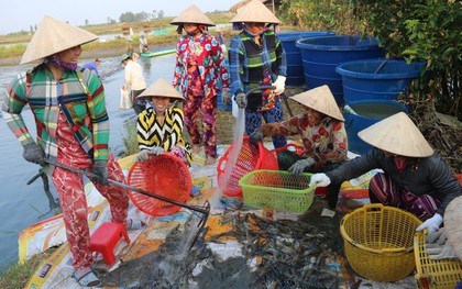 Có cánh đồng mênh mông, kênh rạch chằng chịt, 1 tỉnh muốn dẫn đầu trong lĩnh vực VN xuất khẩu top 3 thế giới