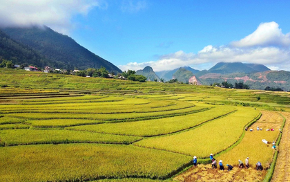 Ruộng bậc thang Lai Châu: Tuyệt tác của thiên nhiên