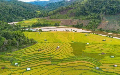 Đến Măng Đen thưởng ngoạn ruộng bậc thang Kon Tu Rằng