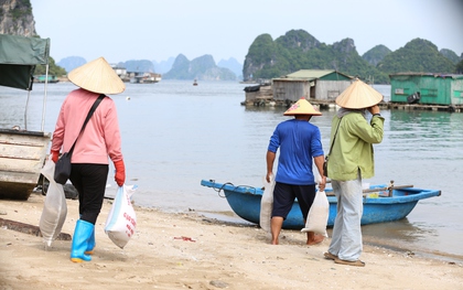 Ngư dân Quảng Ninh hối hả kéo thuyền vào bờ trước khi bão số 3 Yagi đổ bộ: “Bao nhiêu tài sản của chúng tôi đều đang ở dưới biển”