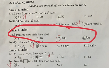 Bài toán tiểu học khiến phụ huynh cũng phải "đứng hình"