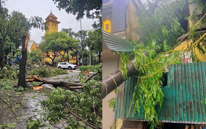 Thêm 3 địa điểm nổi tiếng của Hà Nội có cây đổ do bão khiến nhiều người ngỡ ngàng