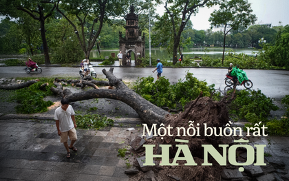 Hà Nội, những ngày cây không còn nữa…