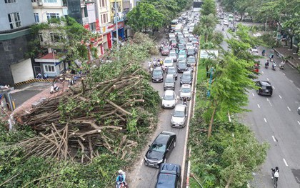 Đường phố Hà Nội vẫn ngổn ngang cây đổ, người dân "vượt ải" ùn tắc đến công sở