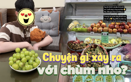 "Tam tai" của nho xanh ập đến đầu năm 2025, nhiều người hốt hoảng: Chuyện gì đã xảy ra thế?