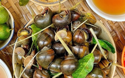 Món ăn vặt mùa đông này giàu canxi hơn cả tôm nhưng "cực độc" với người bệnh thận