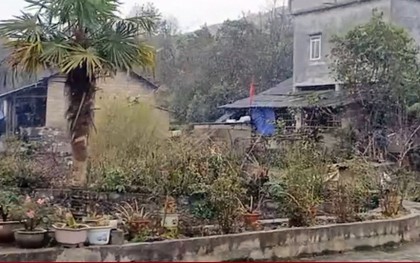 Tuyết rơi ở Hà Giang ngày 27 Tết