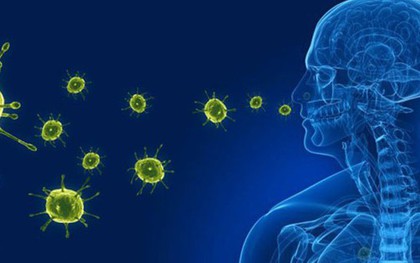 Bộ Y tế thông tin virus gây viêm phổi trên người tại Trung Quốc