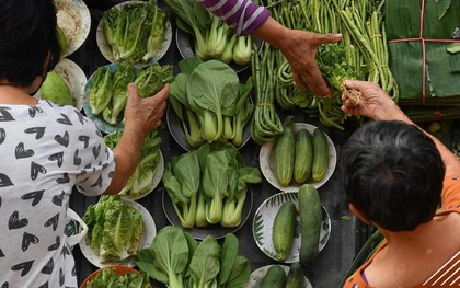 3 loại rau củ dễ chứa nhiều “thuốc độc”, người bán còn không dám ăn nhưng không ít người yêu thích