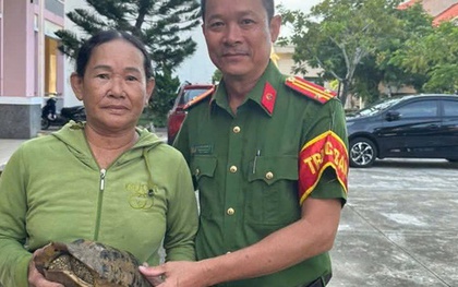 Đi hái rau, người phụ nữ bắt gặp con rùa quý nặng 2,2 kg ở Đà Nẵng