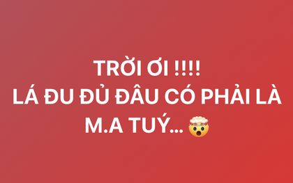 Admin fanpage “Phòng, chống ma tuý” var thẳng mặt dàn sao Việt