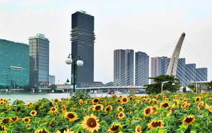 Saigon Marina IFC - Điểm đến mới của giới trẻ TP.HCM