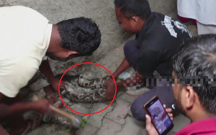 Nhìn ra ngoài đường, người đàn ông bỗng gặp cảnh tượng nổi da gà