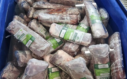 Hà Nội: Phát hiện "công nghệ" bơm tinh chất biến thịt trâu Ấn Độ thành 14 tấn bò WAGYU