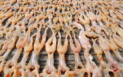 Món đặc sản miền Tây khiến bao người "đỏ mặt" vì tên gọi gây hiểu lầm