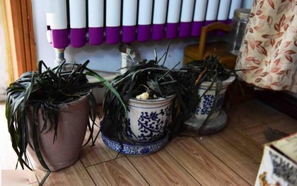 5 dấu hiệu trong nhà cho thấy: Âm khí nặng nề, vận xui đeo bám không buông