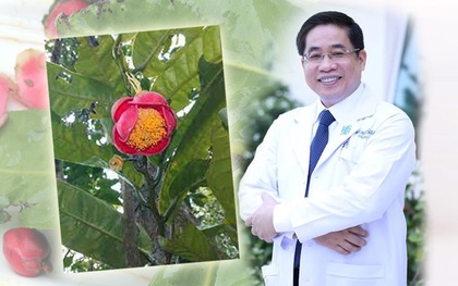 "Kho báu" mới được phát hiện tại Gia Lai mang tên của một vị bác sĩ nổi tiếng, đó là ai?