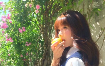 5 loại trái cây vừa “bơm” collagen lại là “kẻ thù” của ung thư vú: Chị em nên chăm ăn