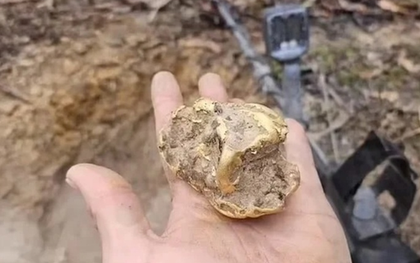 Đi đào gốc cây, người đàn ông bỗng nhặt được kho báu hơn 2 tỷ đồng