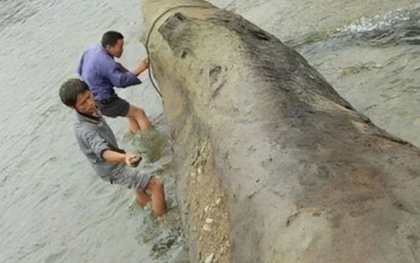 Sông sâu chảy xiết bỗng cạn khô cả đáy, bảo vật nghìn năm được phát hiện khiến cả làng hân hoan