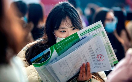 "Tìm việc ngày nay thật khó" - Lời kêu cứu của nữ tiến sĩ gửi 18 đơn xin việc nhưng đều thất bại: Một là thất nghiệp, hai là làm "osin" cho giáo sư để kiếm cơ hội