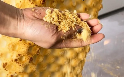 Trong nhà có 4 món đồ này, không sớm ung thư thì cũng rước bệnh vào thân