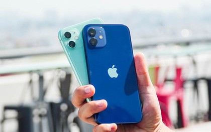 2 chiếc iPhone cũ "siêu rẻ" giá dưới 10 triệu