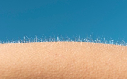 Tại sao chúng ta nổi da gà khi sợ hãi hoặc xúc động?