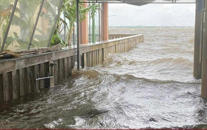 Chưa đổ bộ, bão số 12 đã gây triều cường, nhiều nơi ven phá Tam Giang ngập sâu