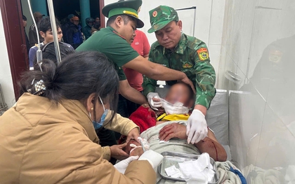 Bị gấu tấn công trên đường đi làm về nhà, người đàn ông ở Đà Nẵng trọng thương