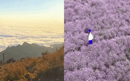 Chinh phục "thiên đường mây" Tà Chì Nhù mùa hoa chi pâu, chiêm ngưỡng vẻ đẹp tinh khôi của núi rừng Tây Bắc