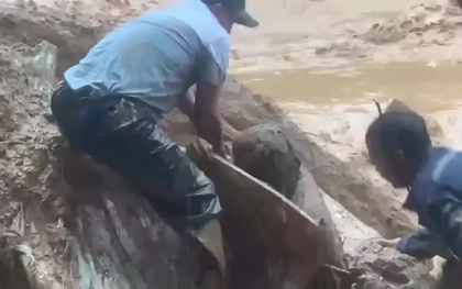 Clip: Công nhân lái máy múc được cứu thoát hy hữu khỏi lũ bùn ở Đà Nẵng