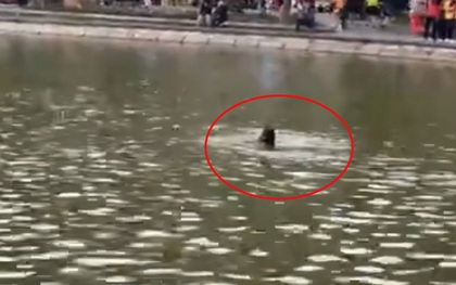 Đã xác định danh tính cô gái đuối nước tử vong ở hồ Hoàn Kiếm, người thân tiết lộ thêm thông tin