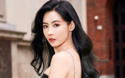 Vạch mặt người “chống lưng” cho Trương Bá Chi