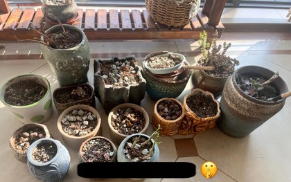 Tôi ước tất cả mọi người dứt khoát buông bỏ 7 thứ "chật nhà" này