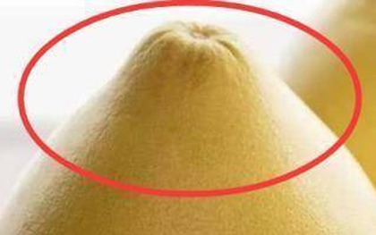 Mùa này có loại quả tốt hơn thịt: Chợ Việt bán sẵn, không mua phí của trời