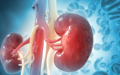 Người có thận yếu thường làm 4 việc này mỗi ngày: Ai mắc nên bỏ ngay!