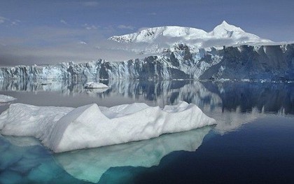 Phát hiện dạng sống “bất khả thi” ở Bắc Cực